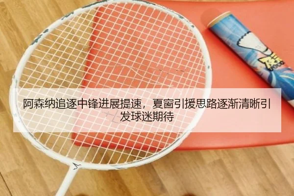 阿森纳追逐中锋进展提速，夏窗引援思路逐渐清晰引发球迷期待